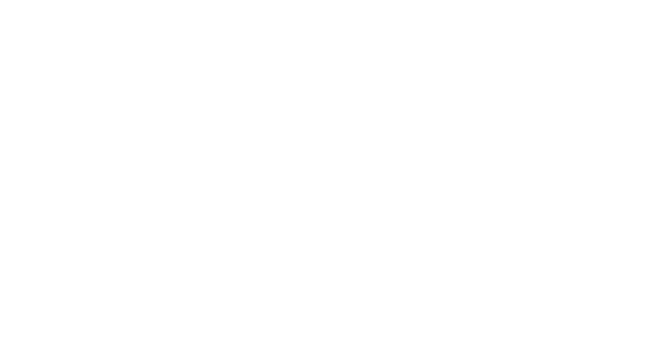 Logo Paulo Mulinari